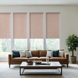 Prestige Light Filtering Roller Shades