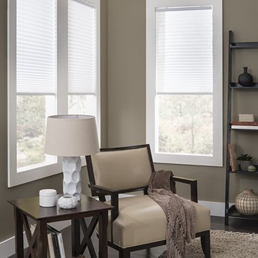 Advantage Cordless Pleated Shades