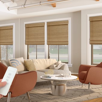 Alternate image for Motorized Woven Wood Shades
