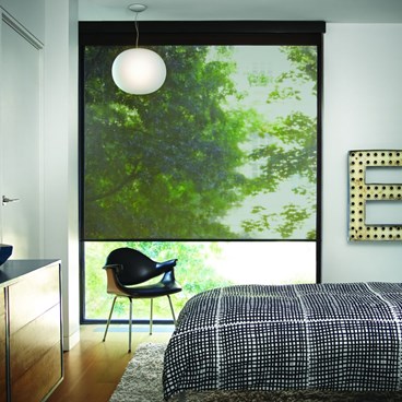 Light Filtering Roller Shade