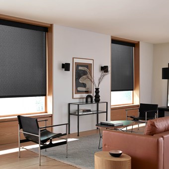 Legacy Light Filtering Roller Shades