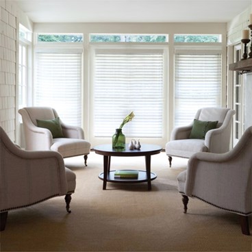 2 1/2 Inch Faux Wood Blinds