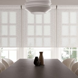 Light Filtering Roller Shades
