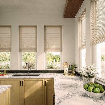 Classic 1 Inch Cordless Vinyl Blinds