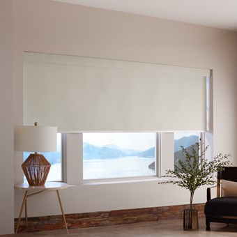 Motorized Blackout Roller Shades