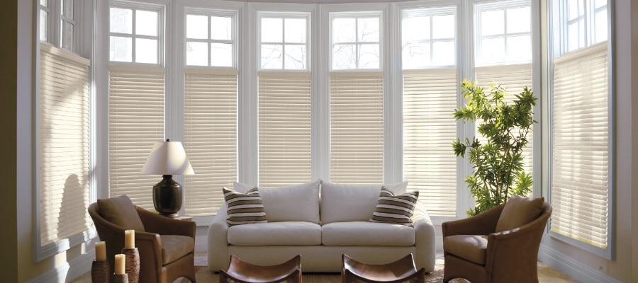 Levolor Visions 2" Faux Wood Blind