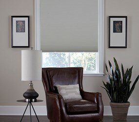 Cellular Shades Honeycomb Blinds Americanblinds Bella View Trademark Blackout Cellular Shade