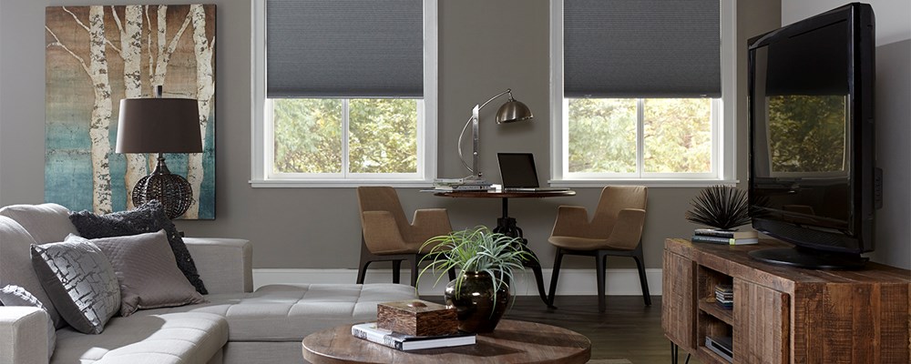 Bella View Legacy Blackout Cellular Shade