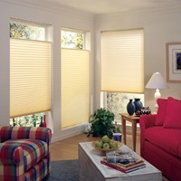 Pleated Shades