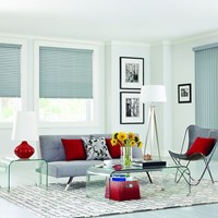 Vinyl Blinds