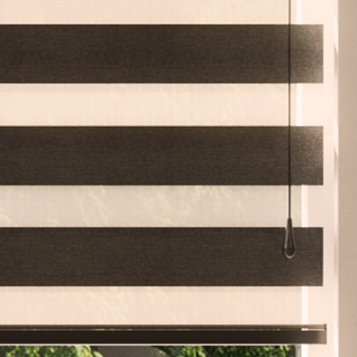 Color: Charron Black; Lift: Black Motorized Wand; Bottom Rail: Standard