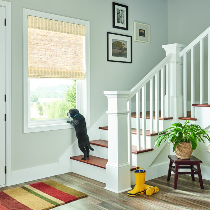 Shown in Faroe Oyster