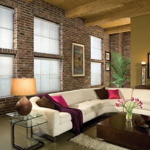 Advantage Light Filtering Horizontal Sheer Shades