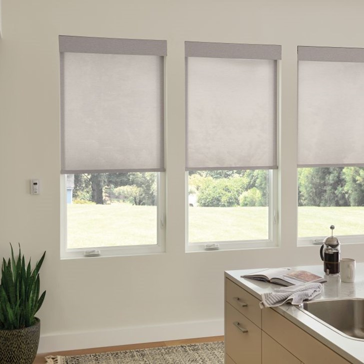 Shown in color Domain Frozen Gray