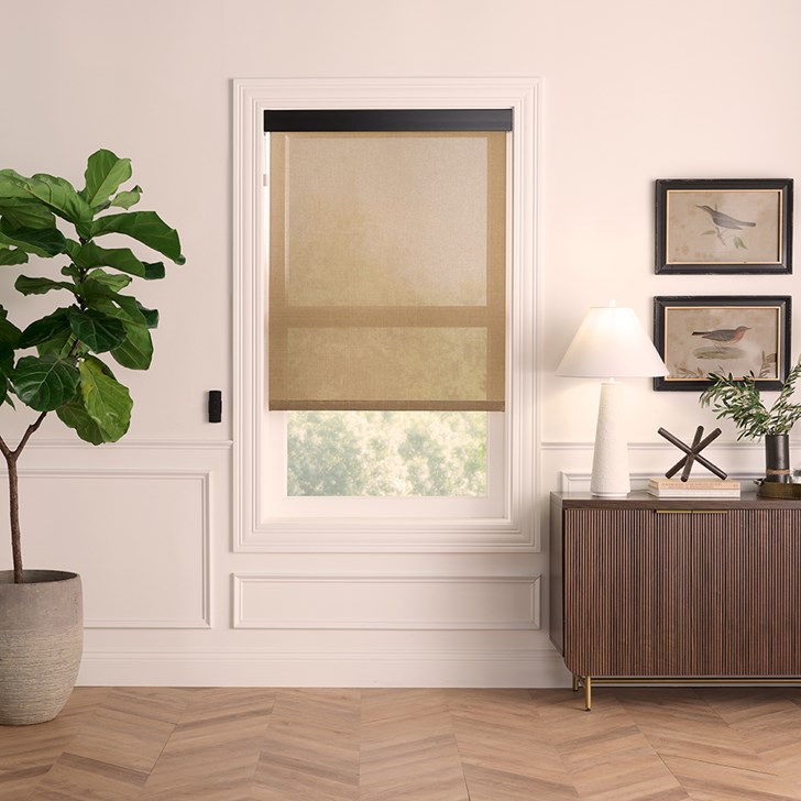 Color: Woodland 3% Olive 0200; Headrail: Black 3 Inch Fascia Valance; Bottom Rail: Sealed Hem Bar