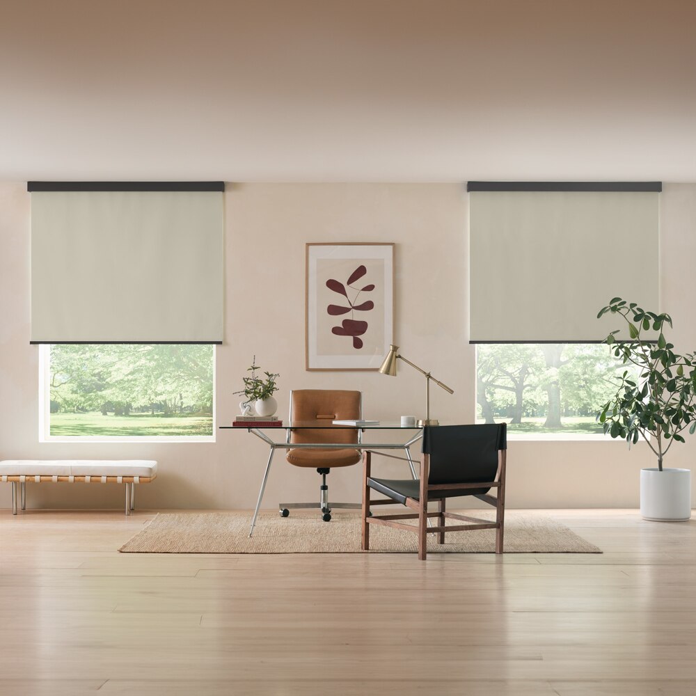 American Blinds Legacy Blackout Roller Shades
