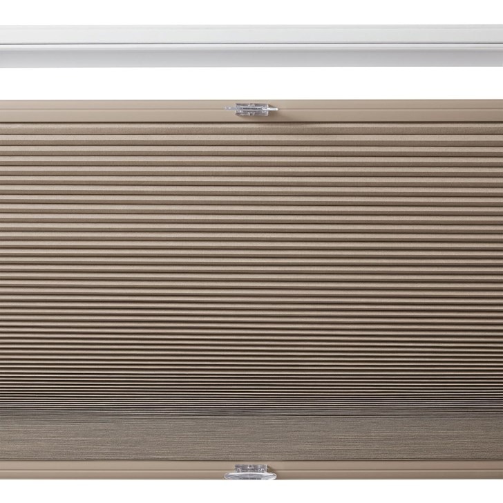 Color: Safari SC4102